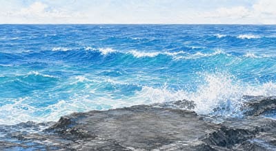 海