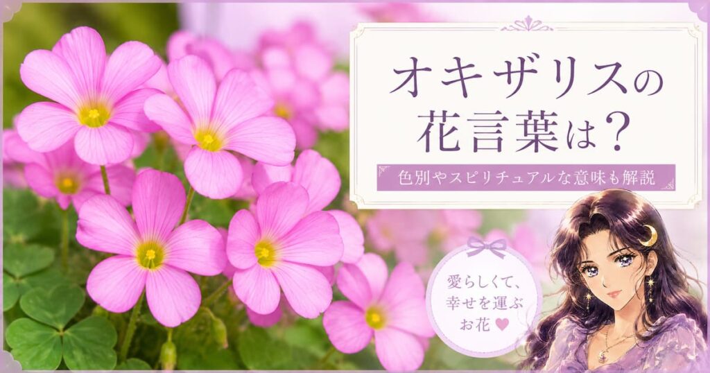 オキザリスの花言葉は？色別・恋愛・縁起やスピリチュアルな意味を解説