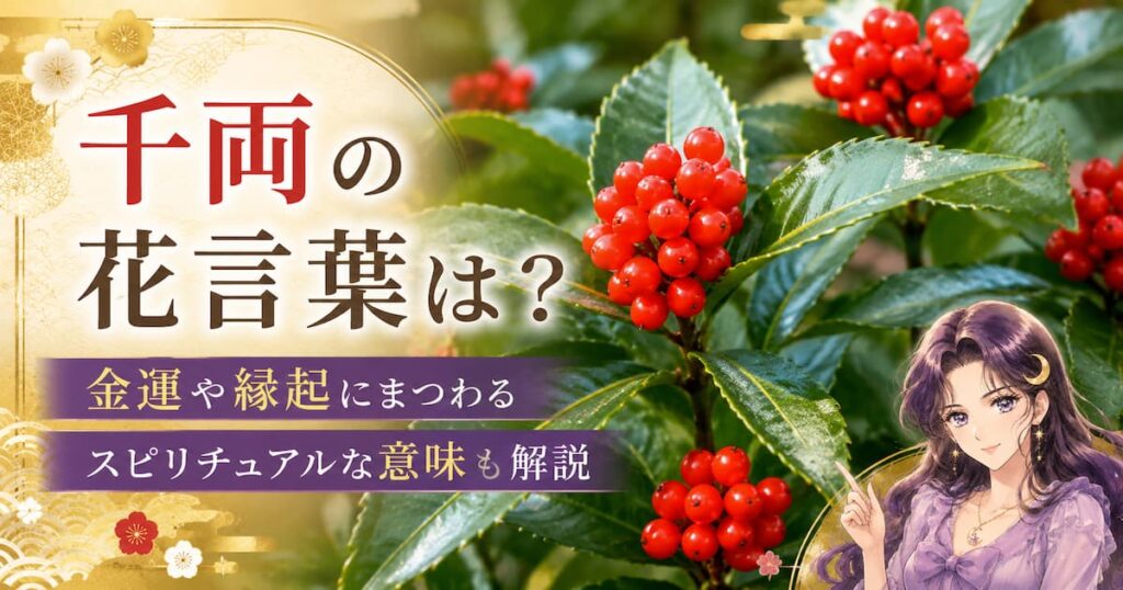 千両の花言葉は怖い？金運や縁起にまつわるスピリチュアルな意味も解説