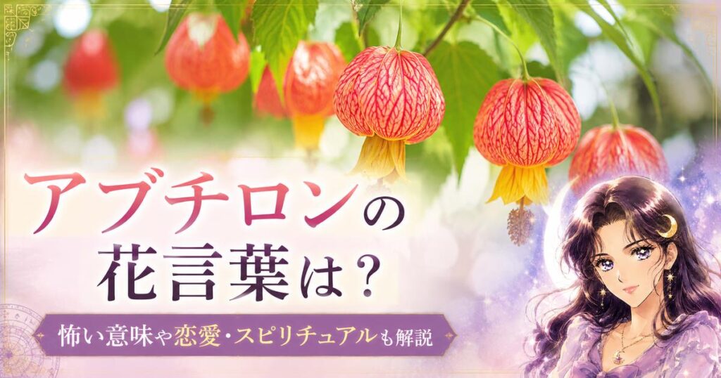 アブチロンの花言葉は？怖い意味や恋愛・スピリチュアルも解説
