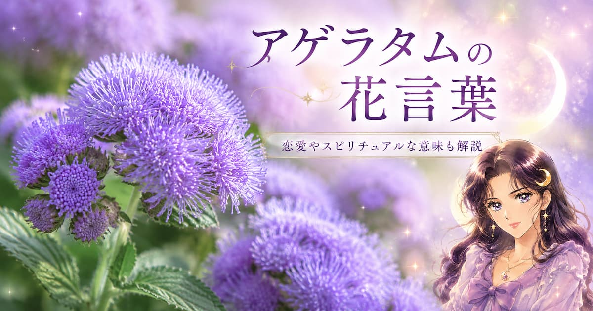 アゲラタムの花言葉は？怖い意味がある？恋愛やスピリチュアルな内容も解説