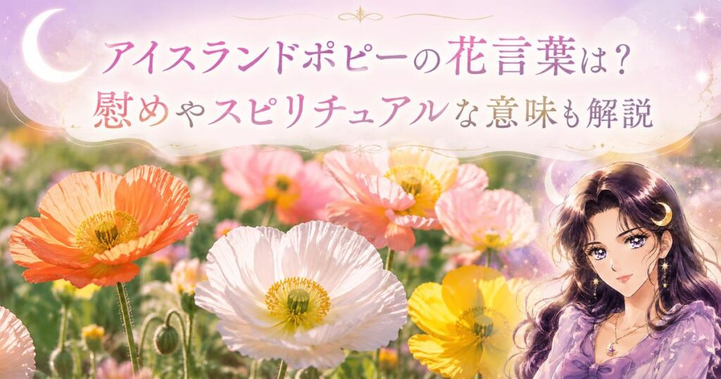 アイスランドポピーの花言葉は？慰めやスピリチュアルな意味も解説