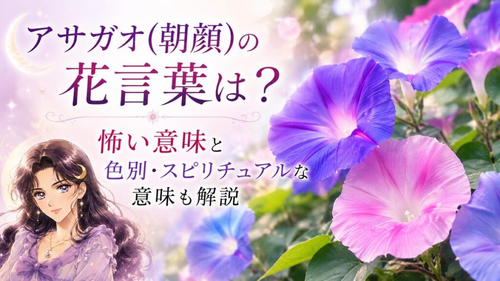 アサガオ(朝顔)の花言葉は？怖い意味と色別・スピリチュアルな意味も解説