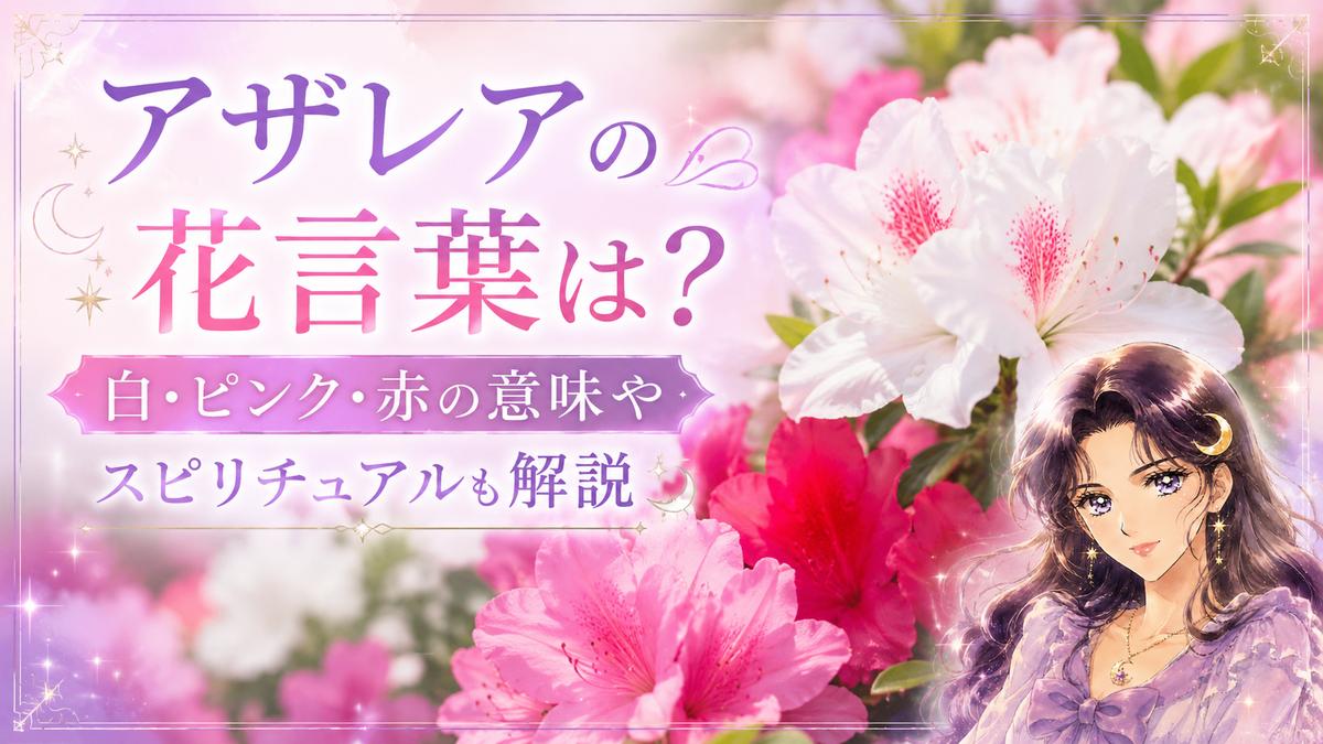 アザレアの花言葉は？白・ピンク・赤の意味やスピリチュアルも解説