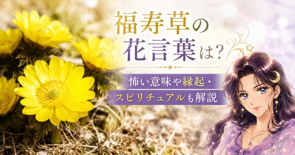 福寿草の花言葉は？怖い意味や縁起・スピリチュアルも解説