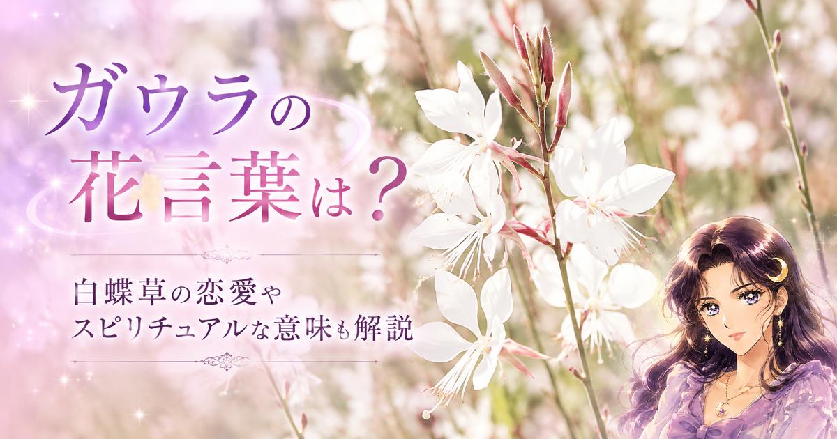 ガウラの花言葉は？白蝶草の恋愛やスピリチュアルな意味も解説