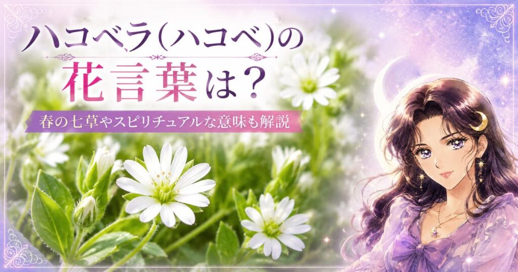 ハコベラ(ハコベ)の花言葉は？春の七草やスピリチュアルな意味も解説