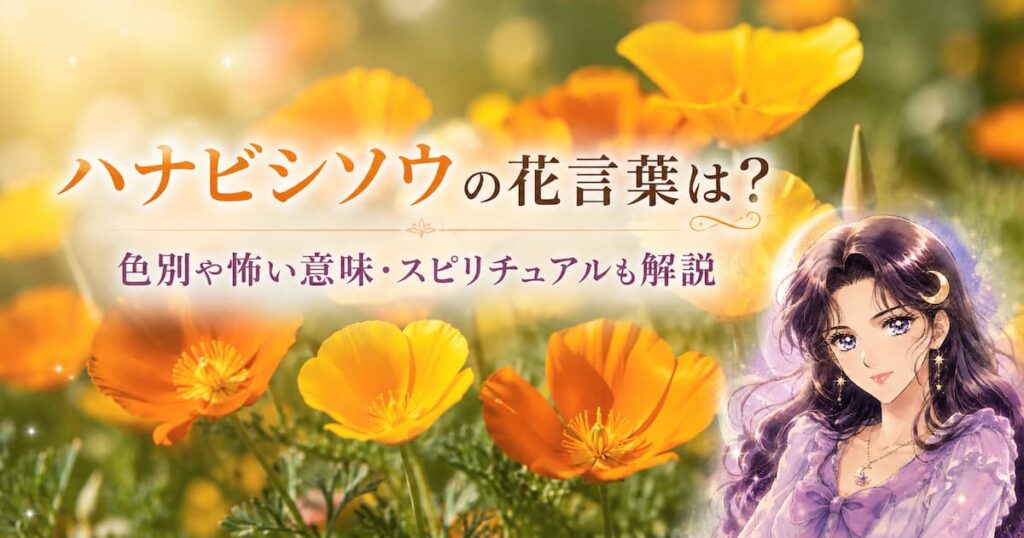 ハナビシソウの花言葉は？色別や怖い意味・スピリチュアルも解説