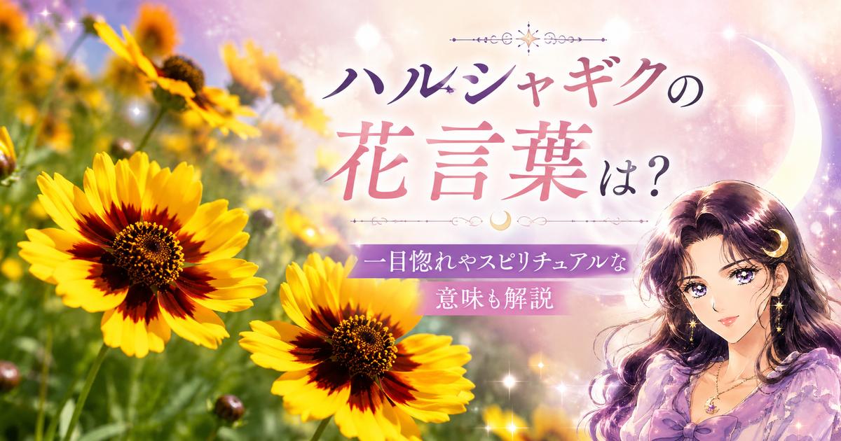 ハルシャギクの花言葉は？一目惚れやスピリチュアルな意味も解説