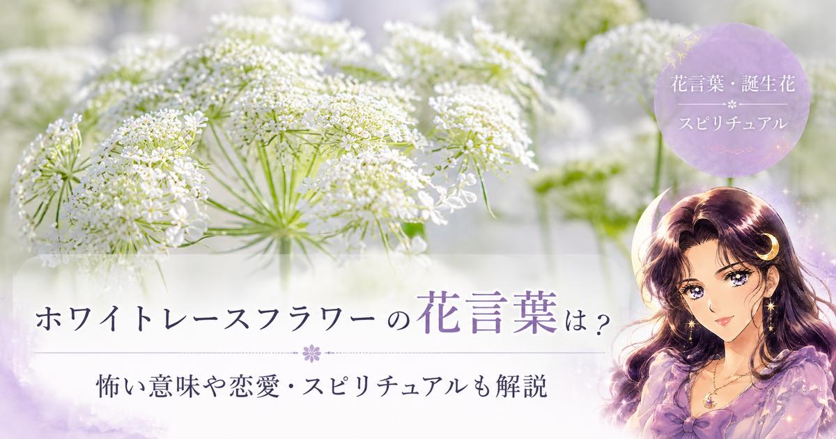 ホワイトレースフラワーの花言葉は?怖い意味や恋愛・スピリチュアルも解説