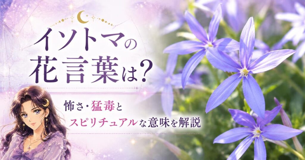 イソトマの花言葉は？怖さ・猛毒とスピリチュアルな意味を解説
