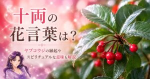 十両の花言葉は？怖いってほんと？ヤブコウジの縁起や金運・スピリチュアルな意味を解説