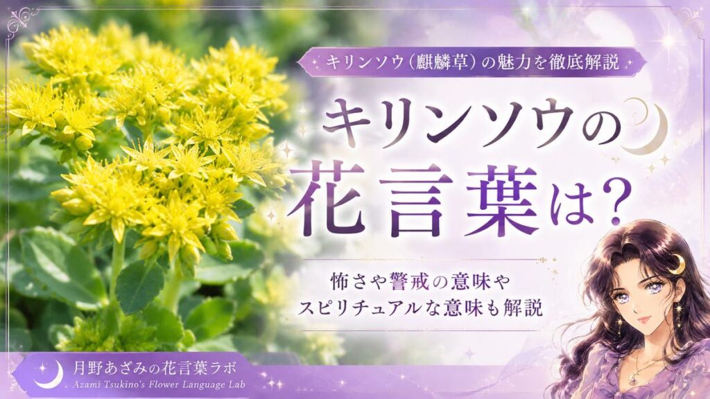 キリンソウの花言葉は？怖さや警戒の意味やスピリチュアルな意味も解説