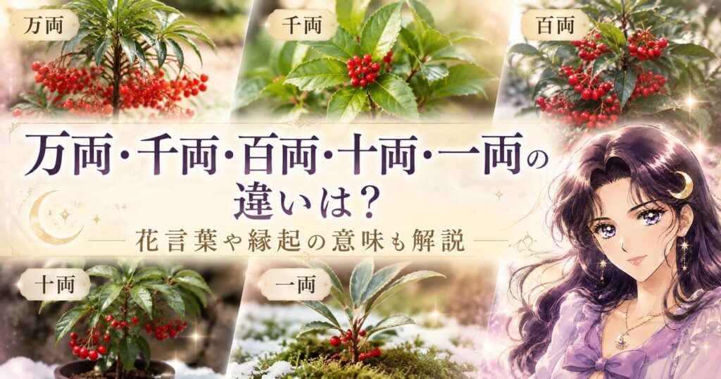万両・千両・百両・十両・一両の違いは？花言葉や縁起の意味も解説