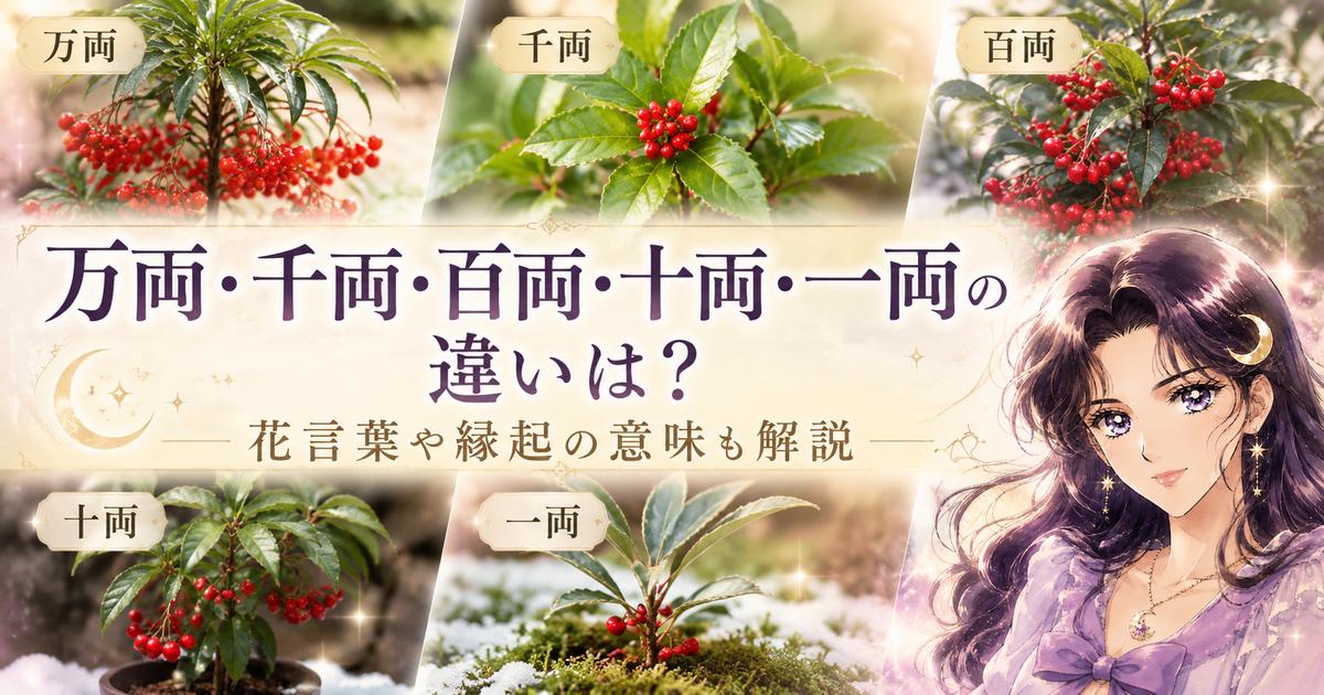 万両・千両・百両・十両・一両の違いは？花言葉や縁起の意味も解説
