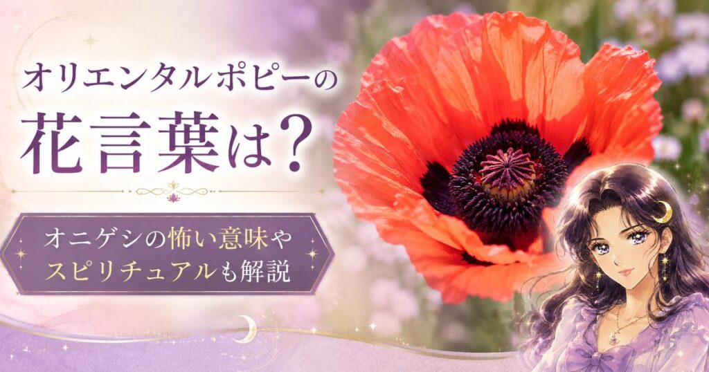 オリエンタルポピーの花言葉は？オニゲシの怖い意味やスピリチュアルも解説