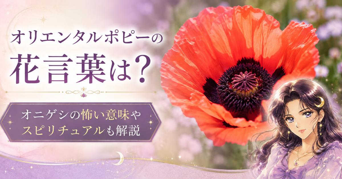 オリエンタルポピーの花言葉は？オニゲシの怖い意味やスピリチュアルも解説