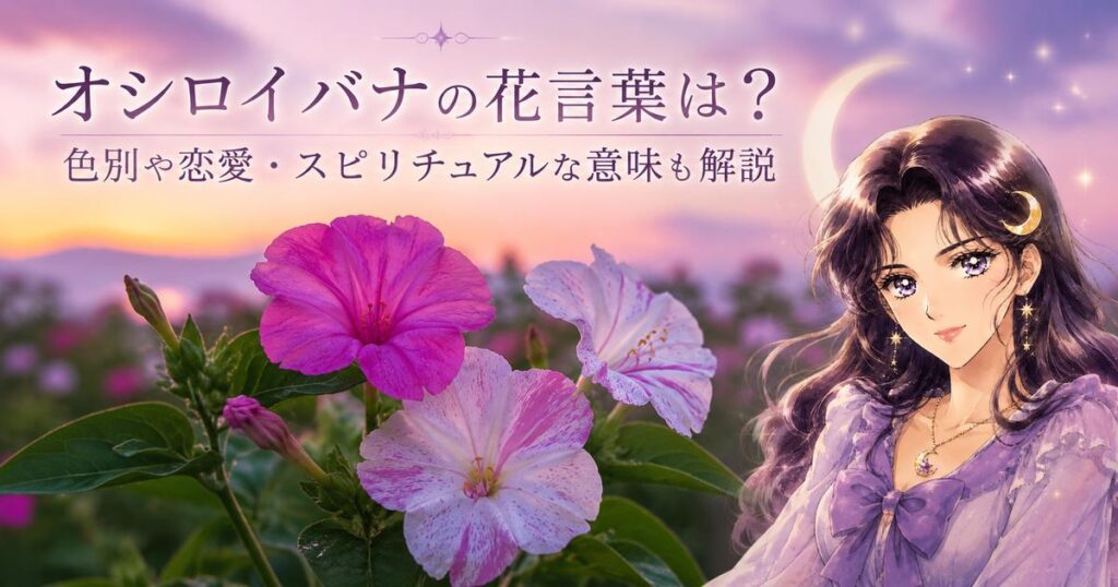 オシロイバナの花言葉は？色別や恋愛・スピリチュアルな意味も解説