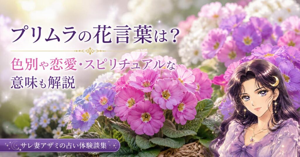 プリムラの花言葉は？色別や恋愛・スピリチュアルな意味も解説
