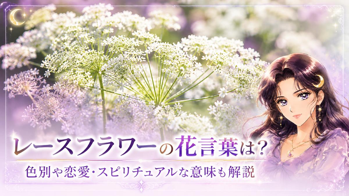 レースフラワーの花言葉は？色別や恋愛・スピリチュアルな意味も解説