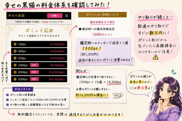 幸せの黒猫がポイント制の従量課金で、鑑定師へのメール送信1通に150ポイント相当が必要となる料金の仕組みを解説した画像