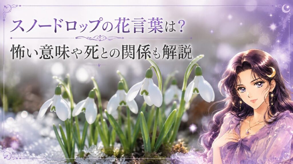 スノードロップの花言葉は？恋愛や感謝・怖い意味や死との関係も解説