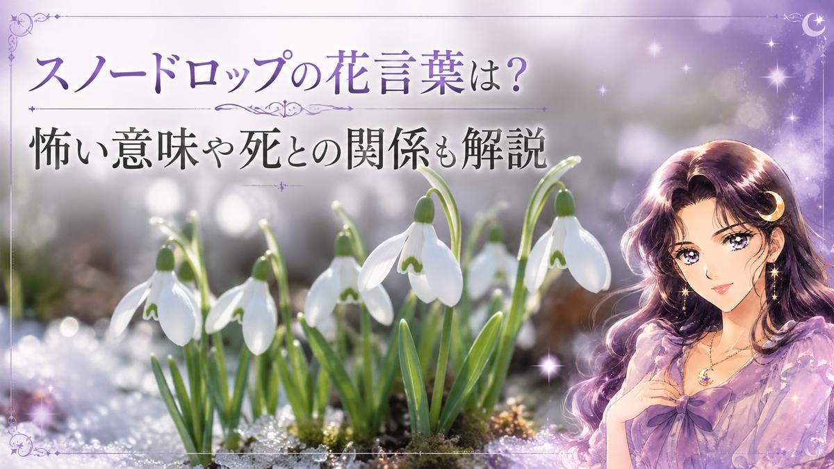 スノードロップの花言葉は?恋愛や感謝・怖い意味や死との関係も解説