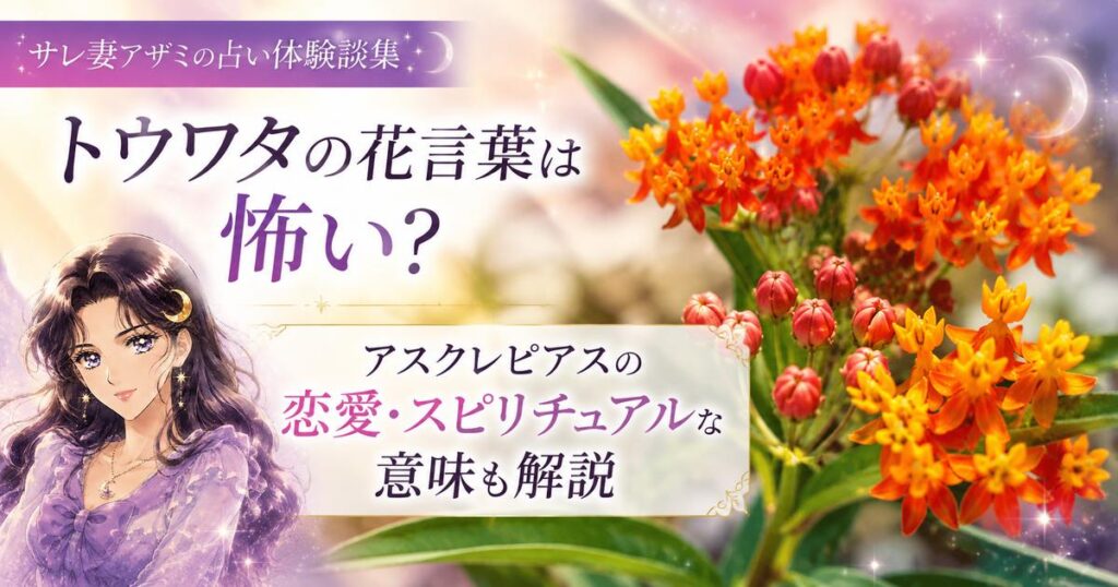 トウワタの花言葉は？怖いってほんと？アスクレピアスの恋愛・スピリチュアルな意味も解説
