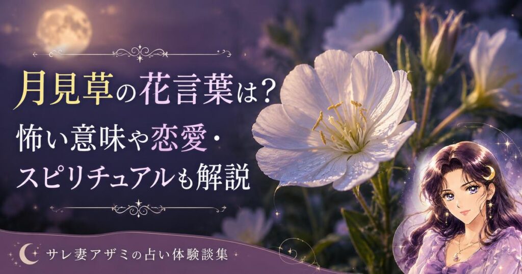 月見草の花言葉は？怖い意味や恋愛・スピリチュアルも解説