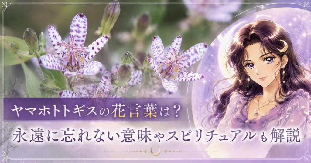 ヤマホトトギスの花言葉は？永遠に忘れないの意味やスピリチュアル的にも解説