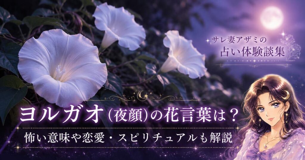 ヨルガオ(夜顔)の花言葉は？怖い意味があるのか恋愛やスピリチュアルの意味も解説