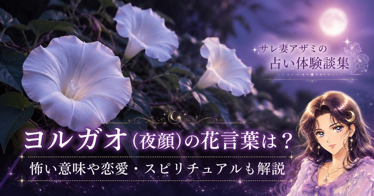 ヨルガオ(夜顔)の花言葉は？怖い意味があるのか恋愛やスピリチュアルの意味も解説