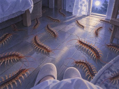 夜の床に何匹ものムカデが現れている夢の場面