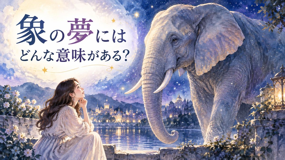 夜の光の中で大きな象を見つめる大人の女性