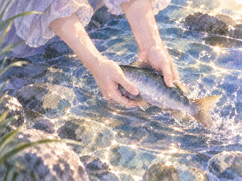 水の中の魚を両手で捕まえる場面