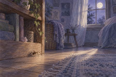 夜の部屋に自然な茶色の蜘蛛が現れる夢