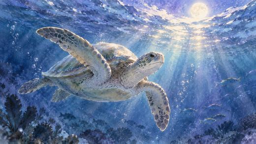 月光の差す海をゆっくり泳ぐ海亀