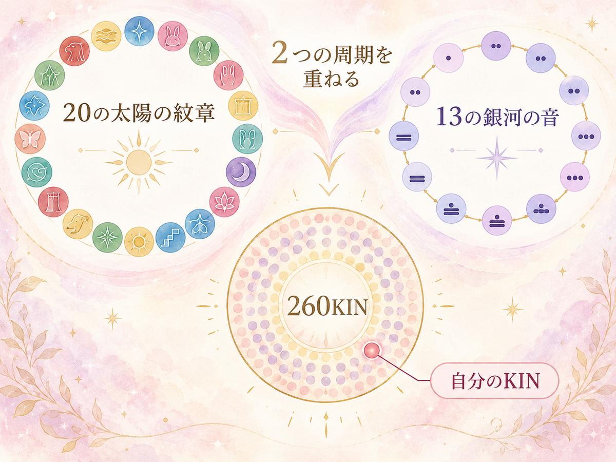 20の太陽の紋章の周期と13の銀河の音の周期が重なり、260KINの中の自分のKINにつながることを示す図解